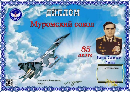 Murom Falcon - award logo